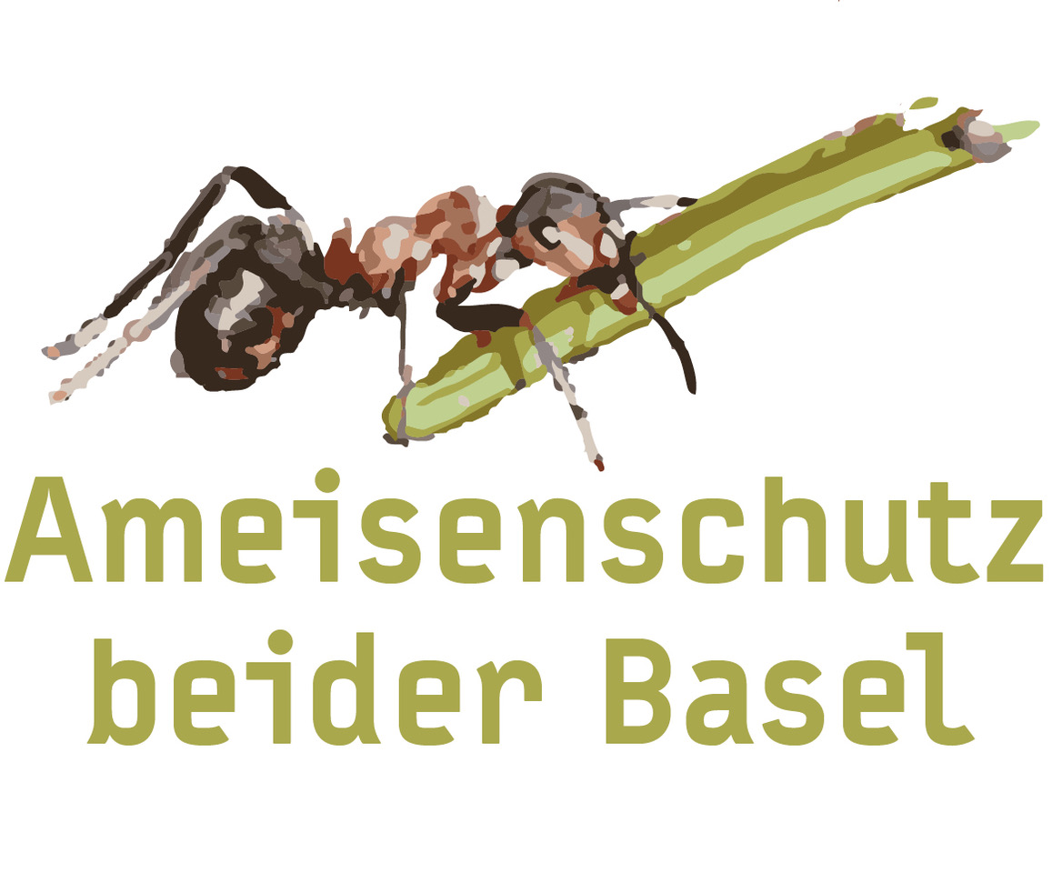 Ameisenschutz_beider_Basel_RZ.jpeg