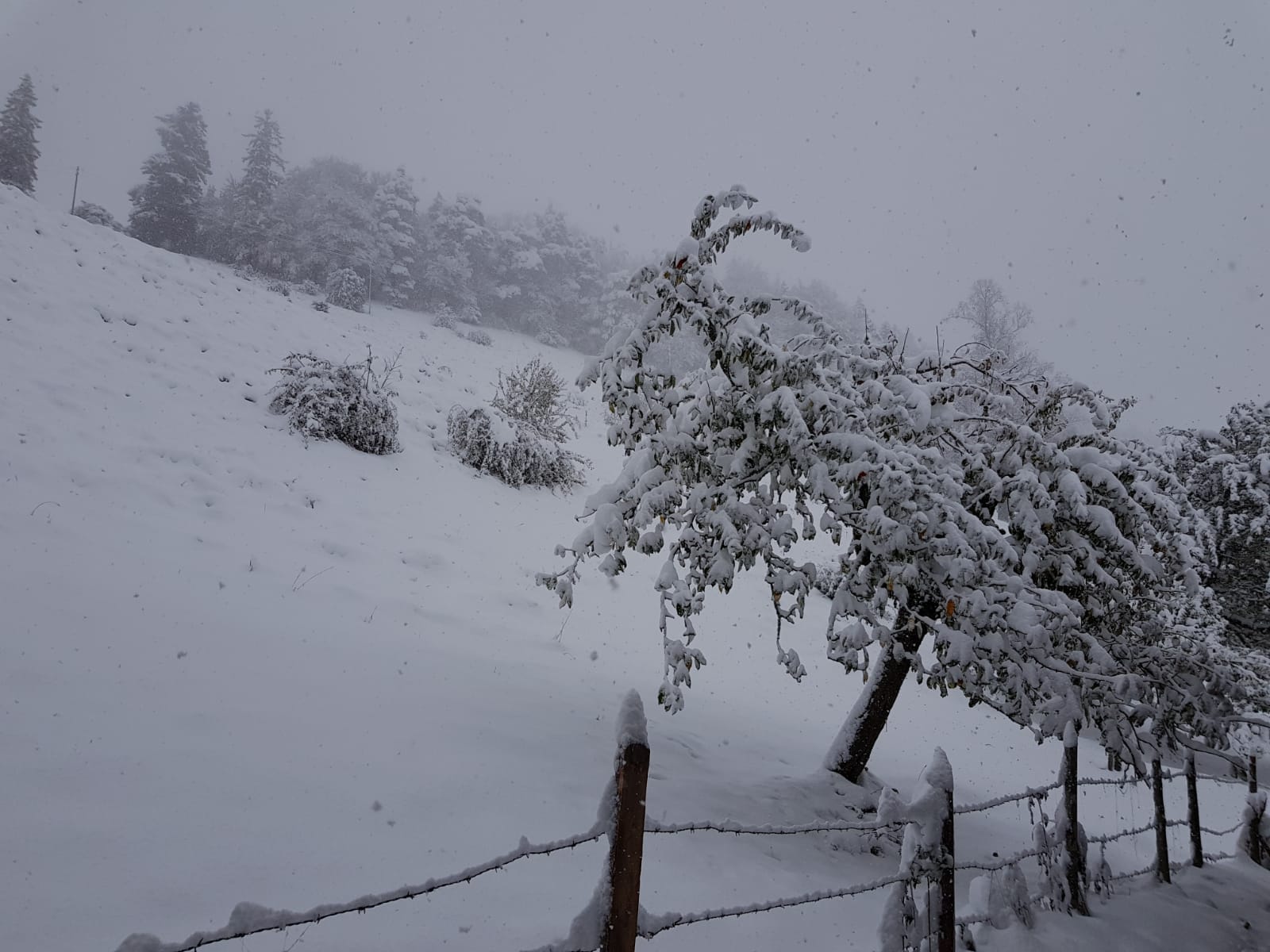 Schnee am 28.10.2018