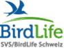 birdlife