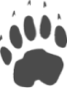 wildtierforschung